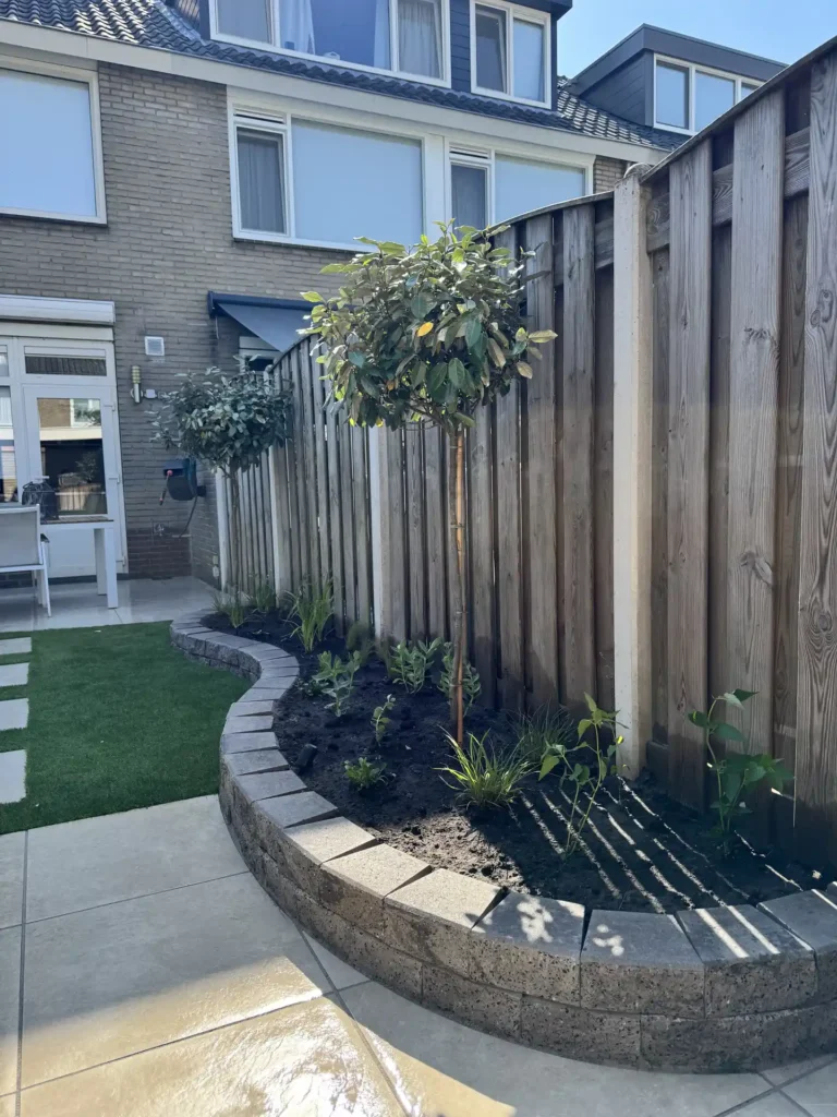 Sierbomen op stam langs een houten schutting in een achtertuin bij een woning